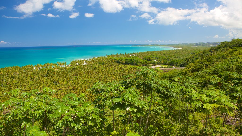 Las Terrenas caracterizando paisagens litorâneas