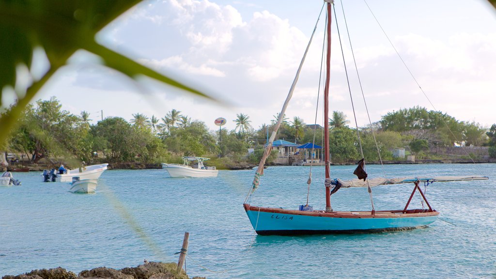 Bayahibe Beach which includes general coastal views