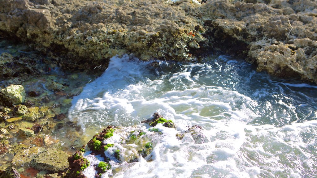 Playa de Bayahíbe que incluye vistas generales de la costa