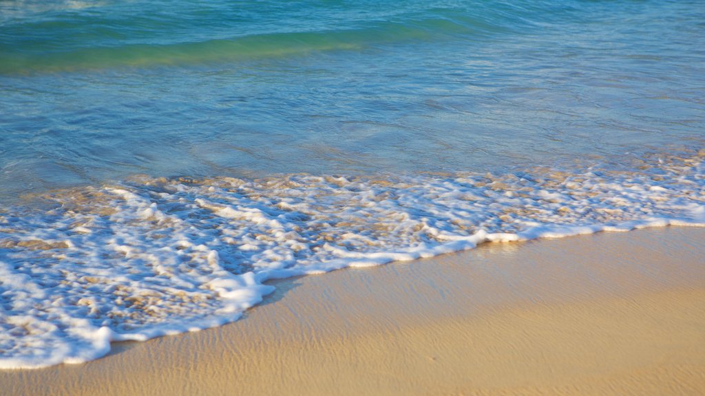 Uvero Alto showing a beach