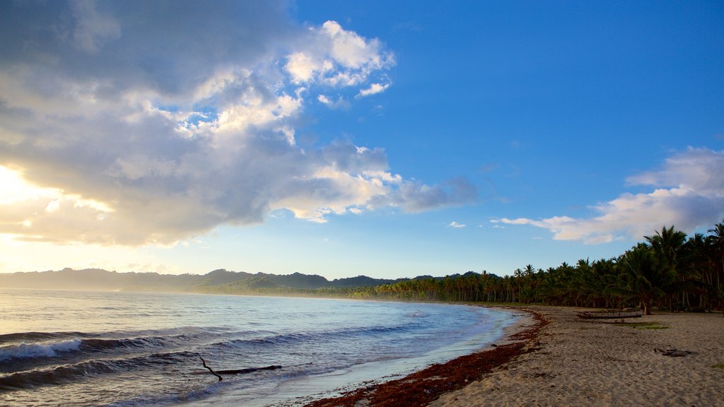 Rincon Beach which includes a beach