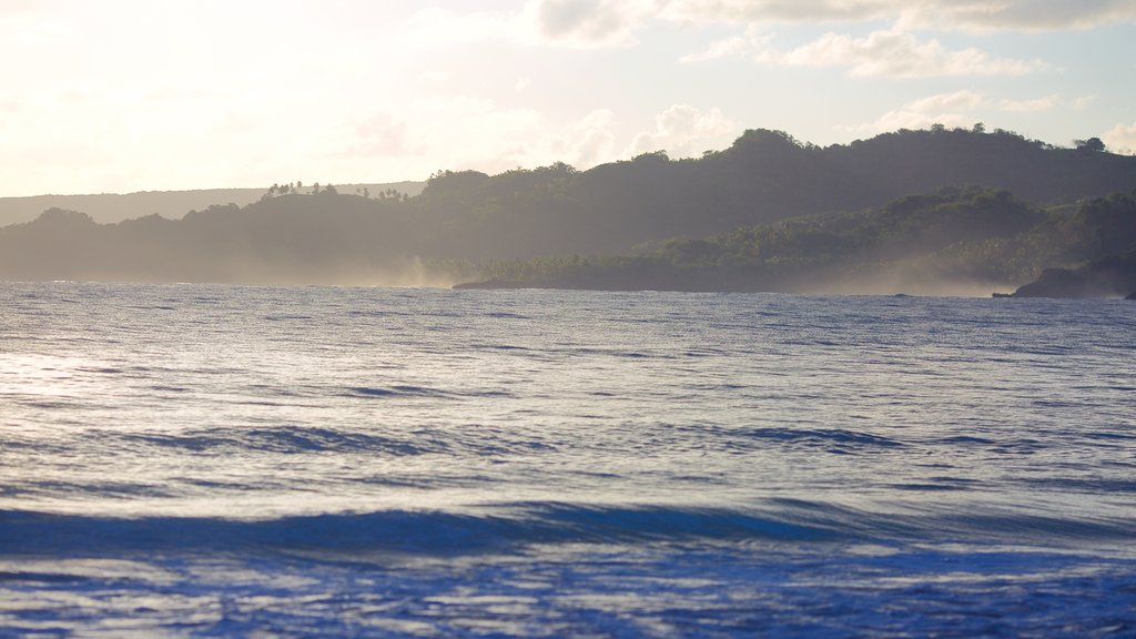 Playa Rincon showing general coastal views