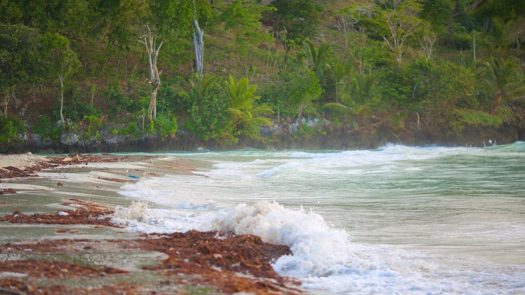 Playa Rincón que incluye vistas generales de la costa