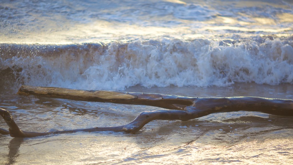 Playa Rincon inclusief algemene kustgezichten