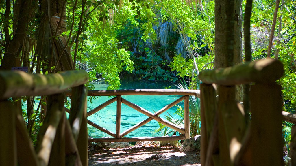 Parque Ecológico Ojos Indígenas mostrando jardín y un río o arroyo