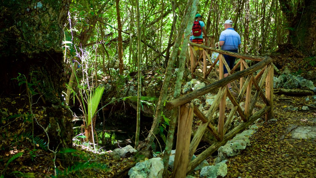 Parque Ecológico Olhos Indígenas mostrando um parque assim como um pequeno grupo de pessoas