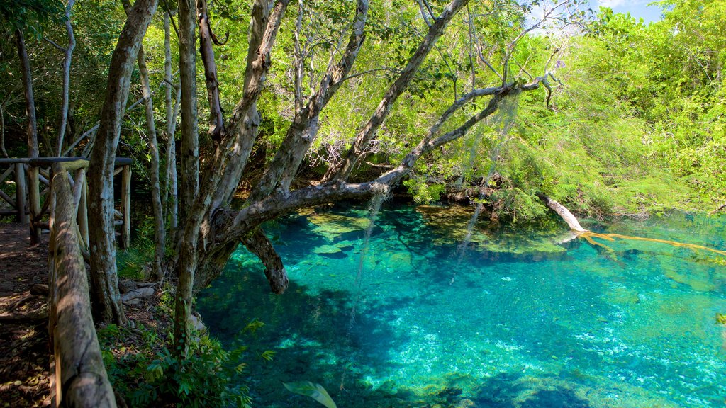 Indigenous Eyes Ecological Park featuring a garden and a lake or waterhole