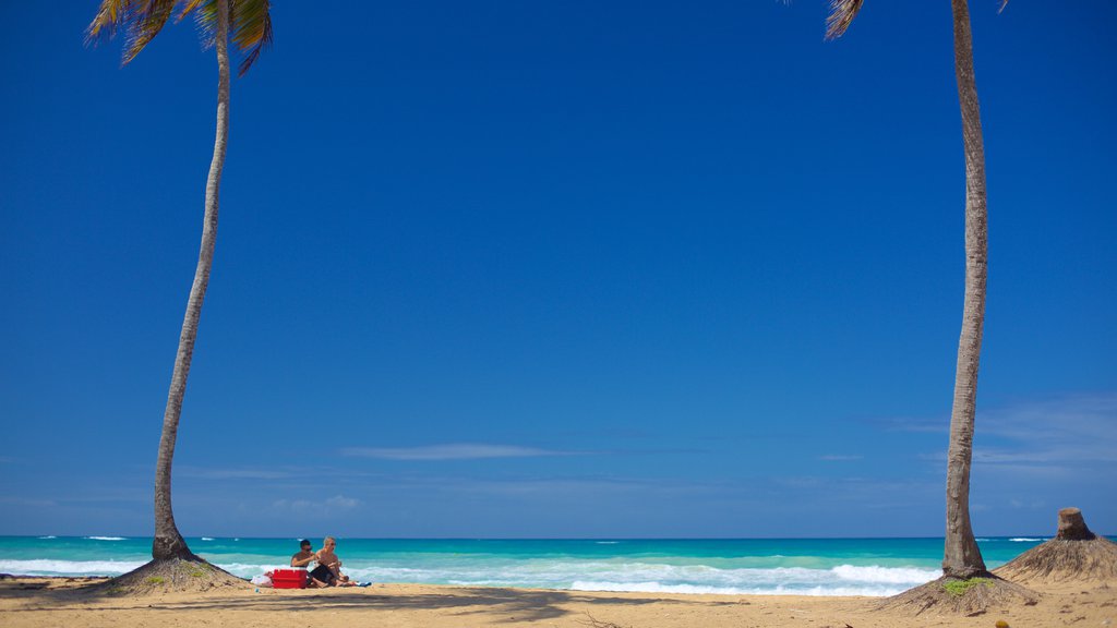 Playa Macao ofreciendo escenas tropicales y una playa de arena