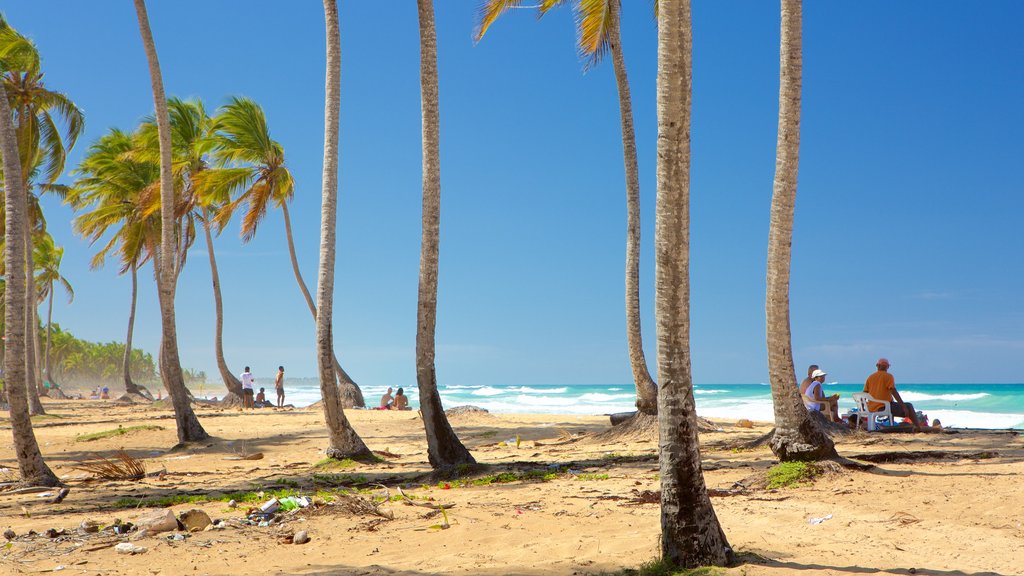 Macao Beach which includes tropical scenes and a beach