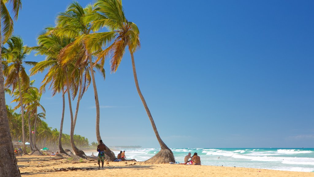 Macao Beach mostrando uma praia de areia e cenas tropicais