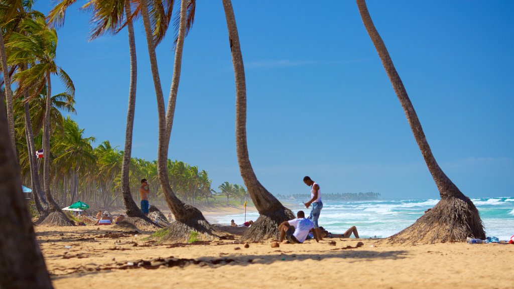 Playa Macao que incluye escenas tropicales y una playa