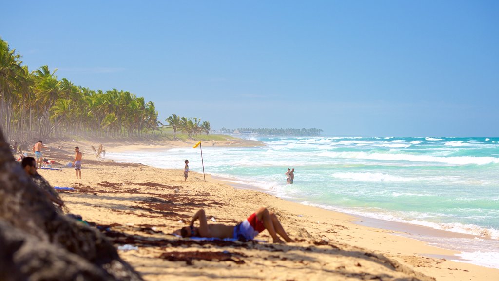 Macao Beach which includes a sandy beach