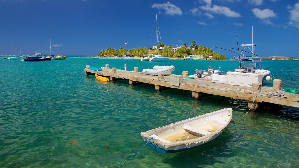 Christiansted showing general coastal views