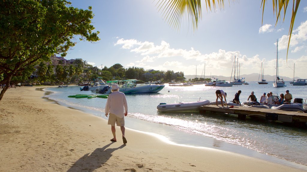 Cruz Bay showing a sandy beach and a bay or harbour