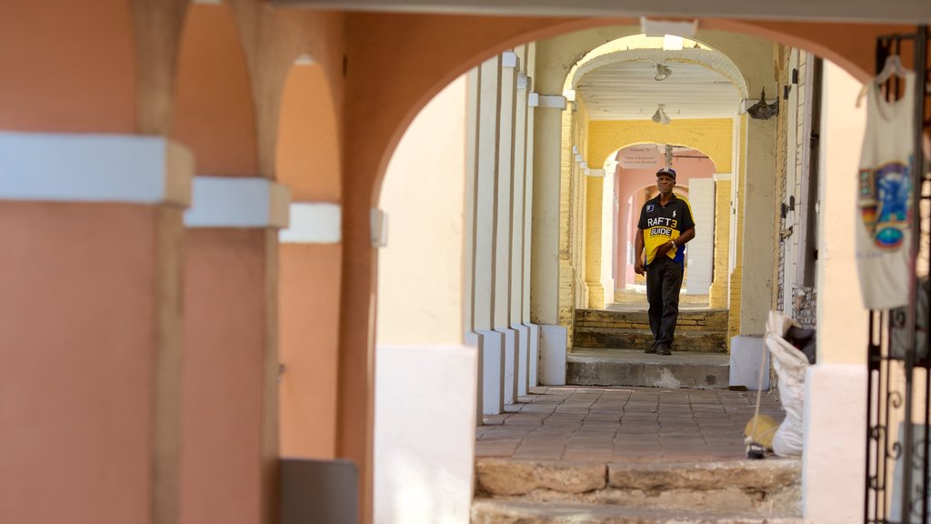 Christiansted mostrando elementos de patrimônio assim como um homem sozinho