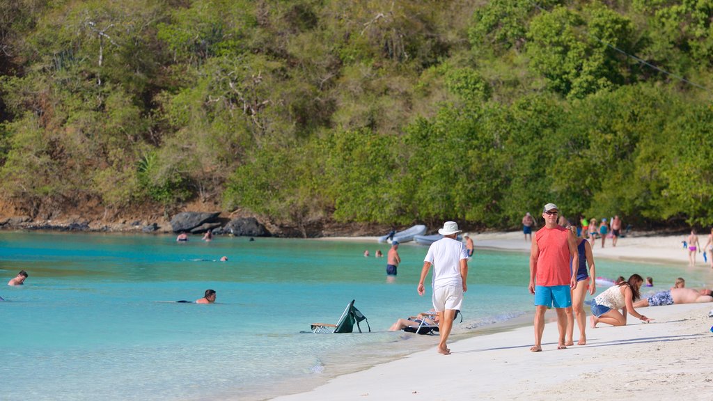 Maho Beach showing a beach