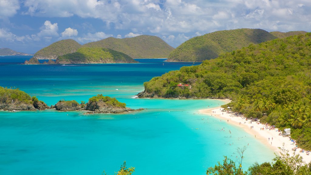 Trunk Bay featuring island views