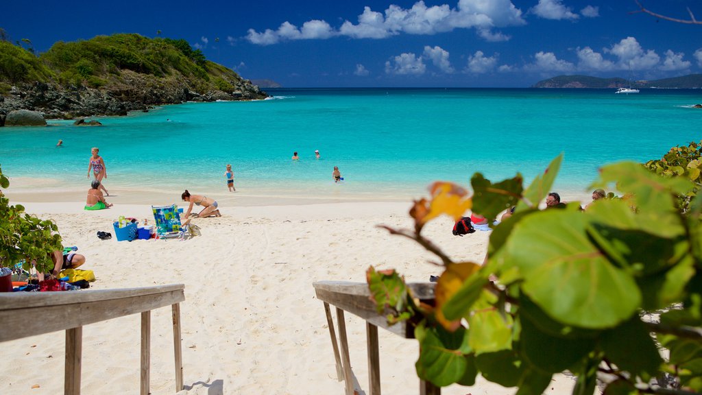 Trunk Bay joka esittää hiekkaranta, trooppiset näkymät ja lahti tai satama