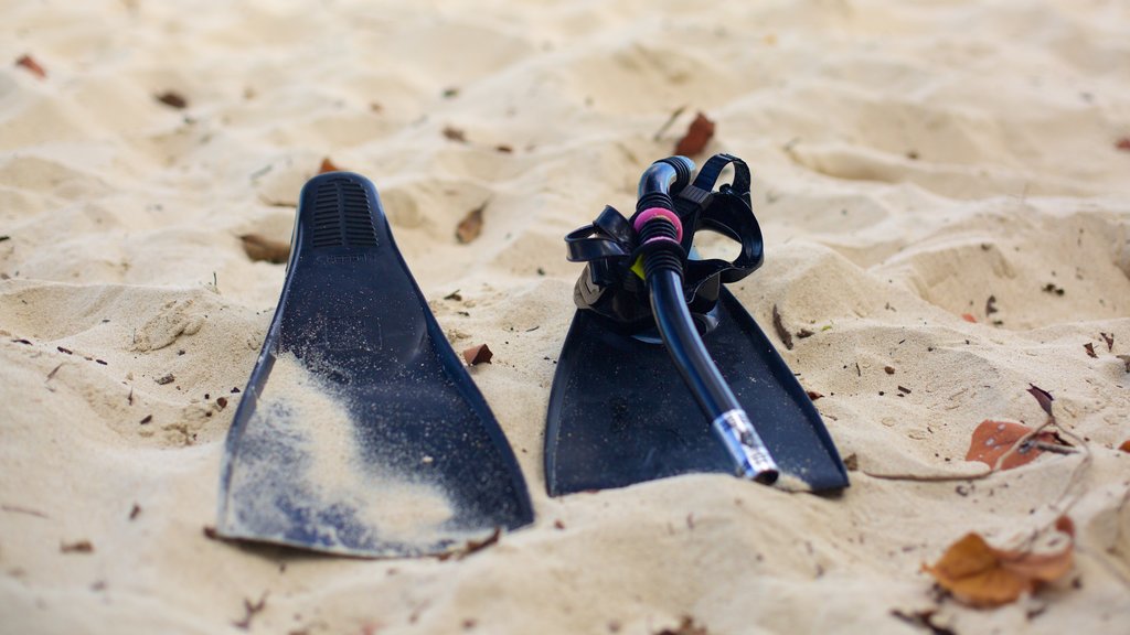 Honeymoon Beach featuring snorkelling