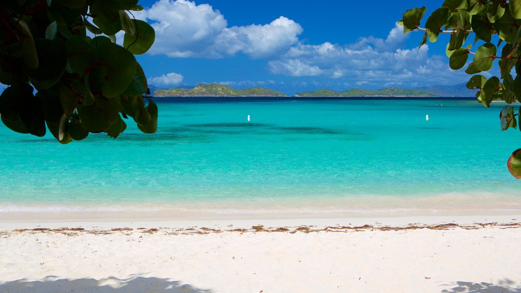 Smith Bay Beach mostrando uma praia de areia e cenas tropicais