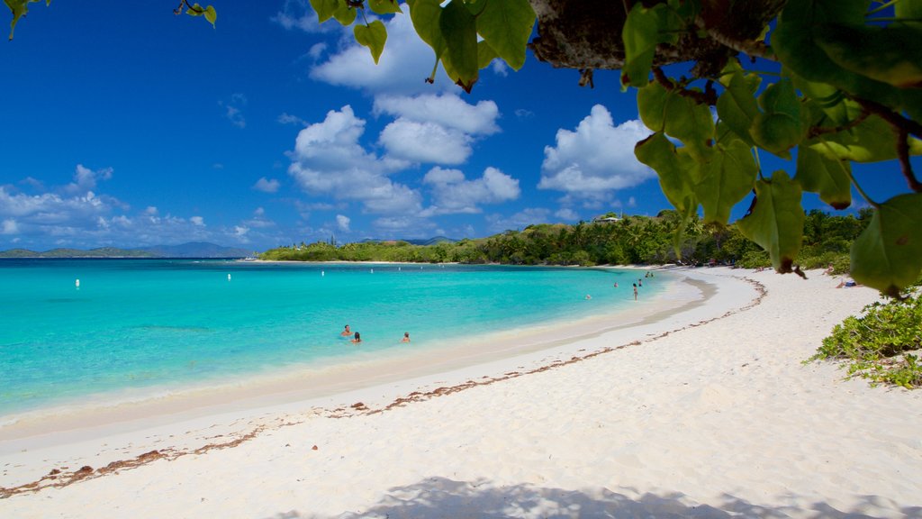 Lindquist Beach featuring tropical scenes and a sandy beach