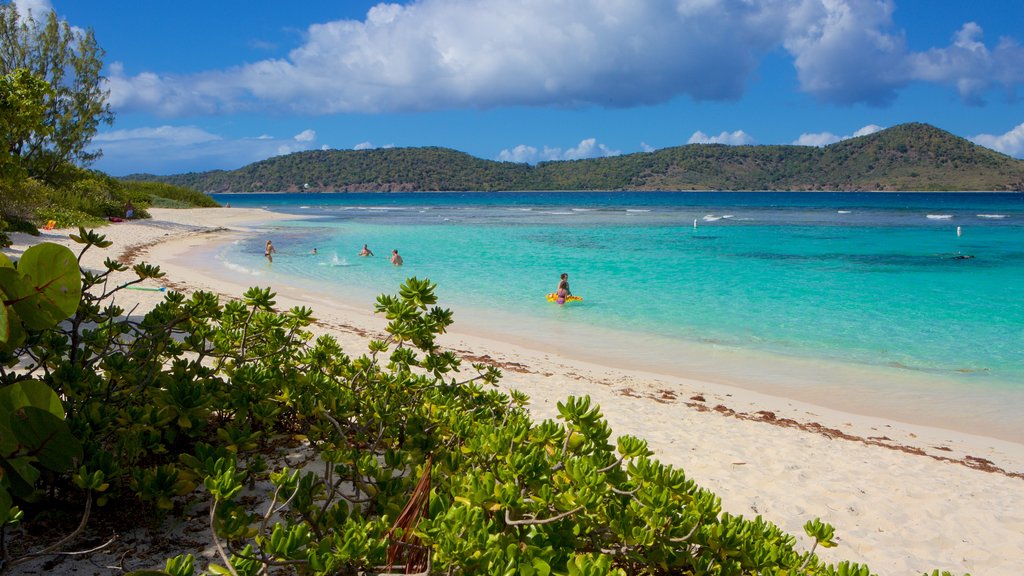 Smith Bay Beach showing a sandy beach and tropical scenes