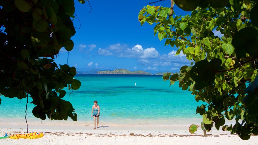 Smith Bay Beach showing a beach and tropical scenes as well as an individual femail