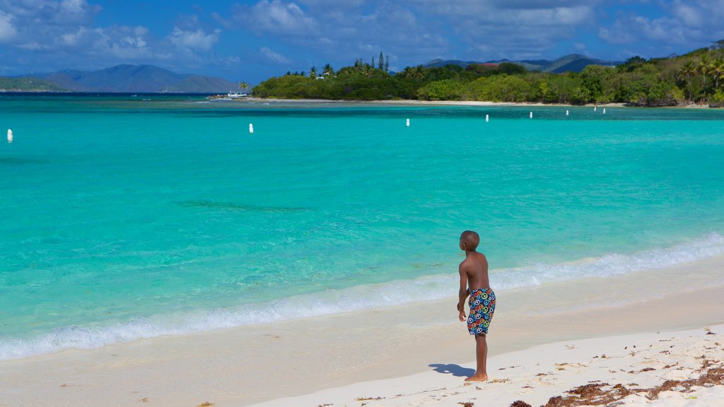 Playa de la bahía de Smith ofreciendo una playa de arena y también un niño