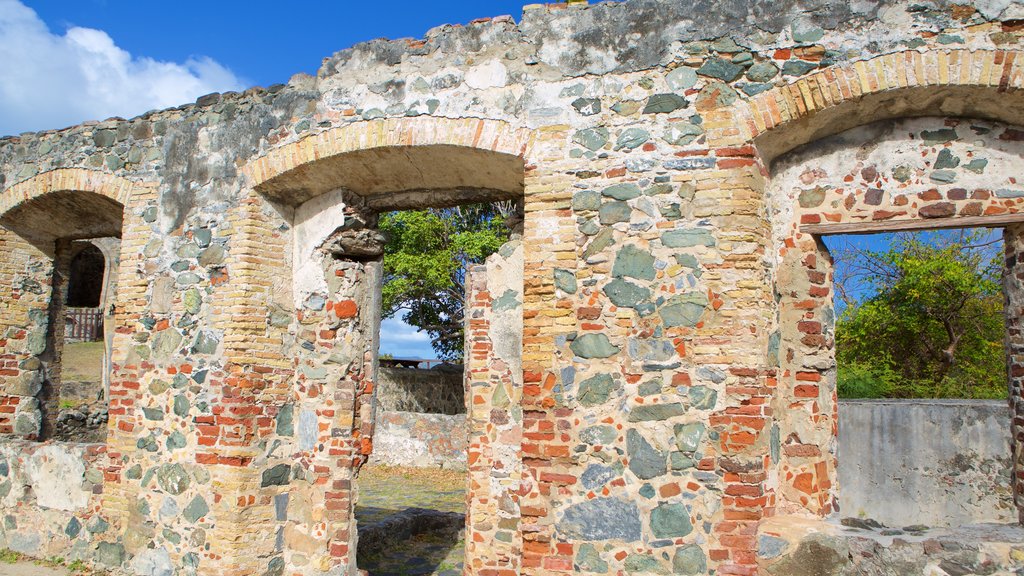 Annaberg Plantation featuring heritage elements and building ruins