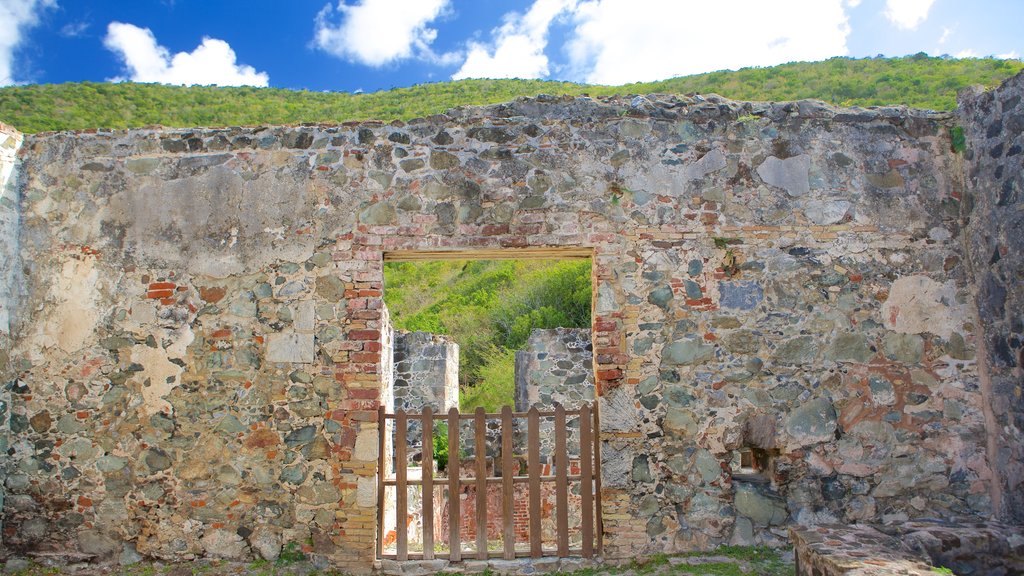 Annaberg Plantation showing heritage elements and a ruin