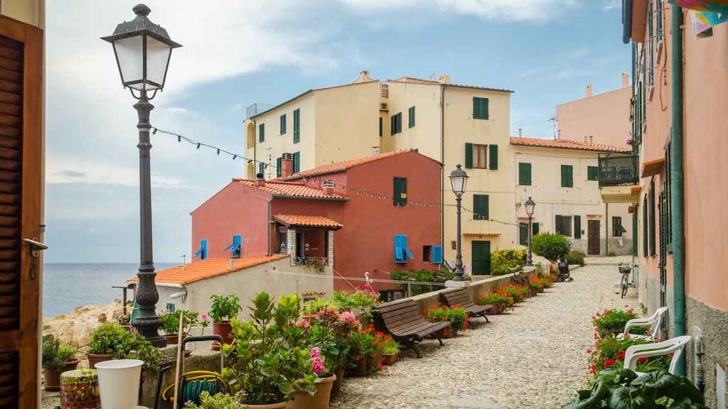 Isla de Elba mostrando una ciudad costera