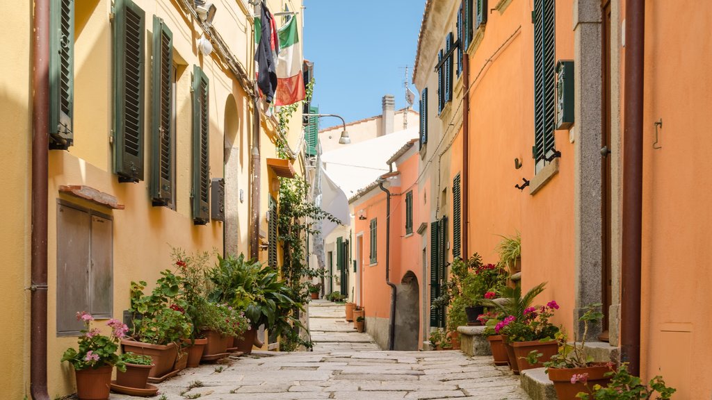 Elba Island showing a small town or village