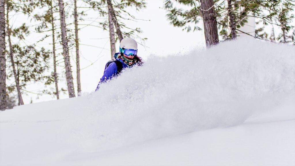 Fernie Alpine Resort featuring cross country skiing and snow