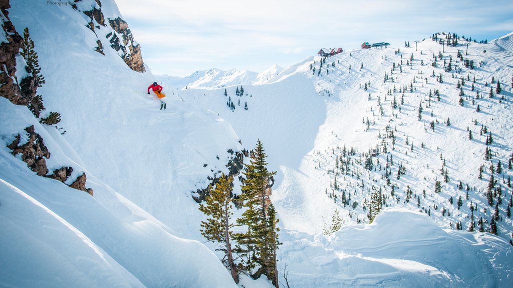 Station de ski Kicking Horse qui includes ski de fond, paysages et neige