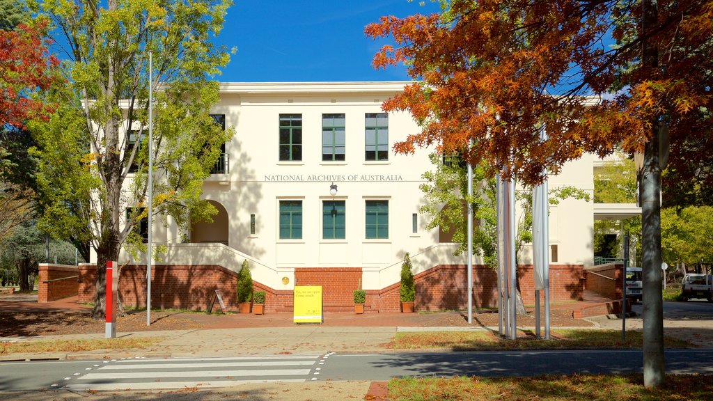 National Archives of Australia showing autumn leaves