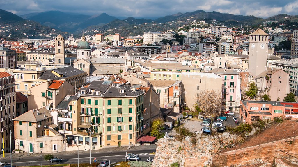 Savona que inclui uma cidade e paisagem