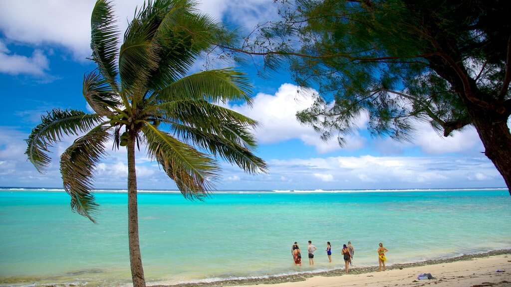 Tikioki Marine Sanctuary showing a beach and tropical scenes