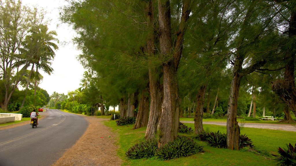 Ngatangiia featuring motorbike riding and a garden