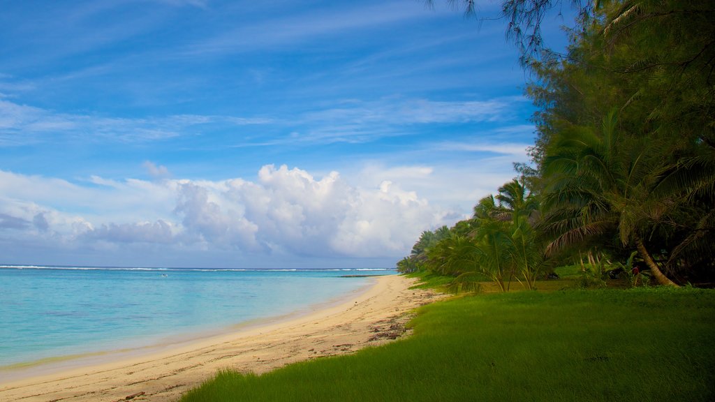 Aro\'a Beach which includes a sandy beach