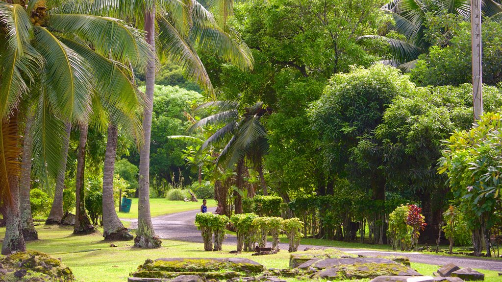 Aro\'a Beach featuring a garden