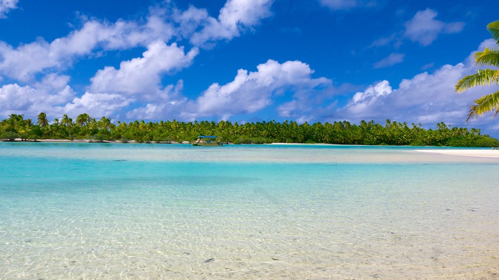 One Foot Island Beach which includes general coastal views