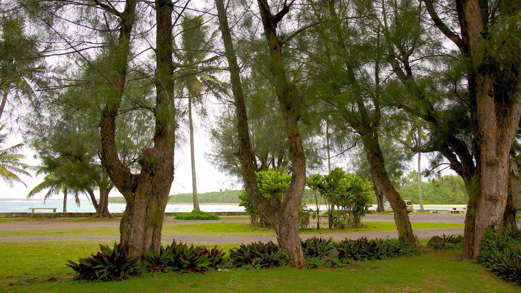 Ngatangiia mostrando paisagens litorâneas e um jardim