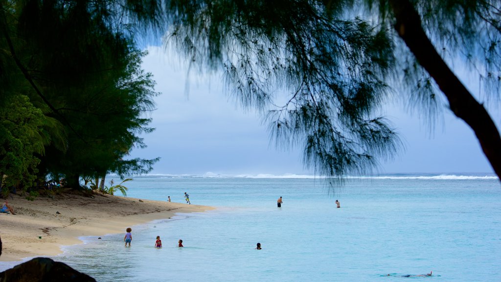 Aroa Beach which includes a beach