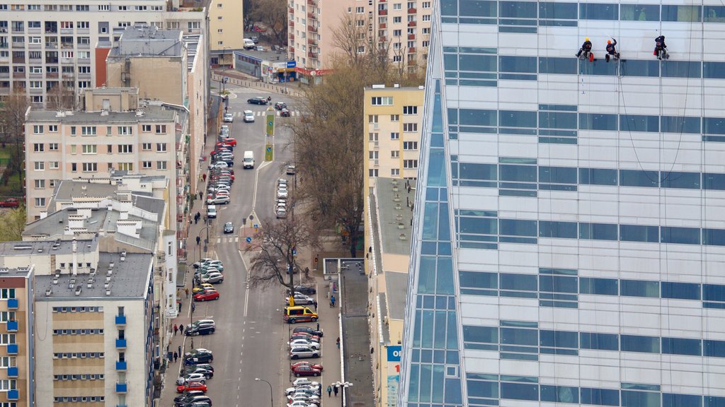 Palace of Culture and Science showing a city and climbing