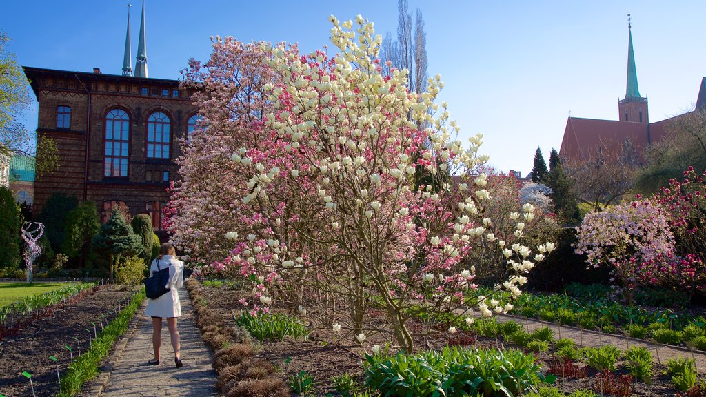 Botanical Gardens featuring a park