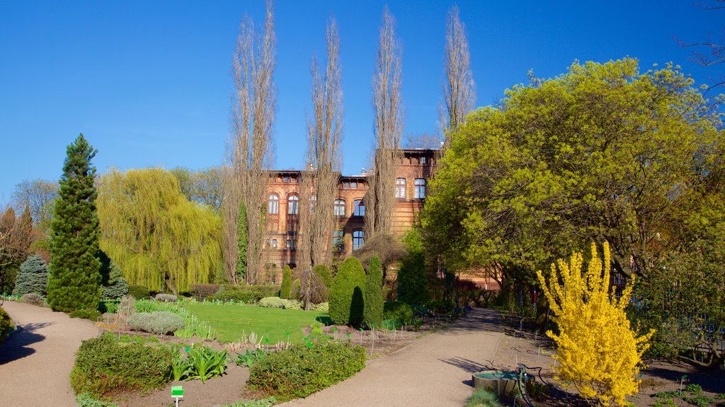 Botanical Gardens showing a park