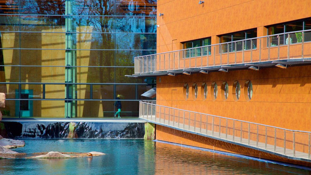 Zoológico de Wrocław caracterizando animais de zoológico