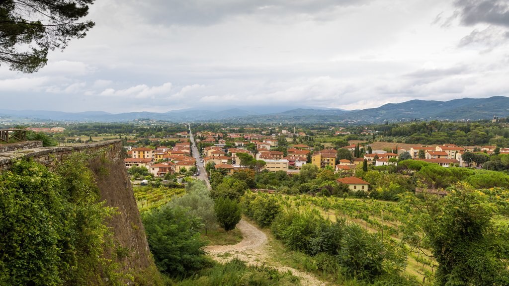 Arezzo que incluye una ciudad y vistas de paisajes