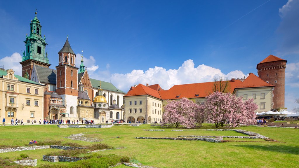 Cracovia mostrando jardín