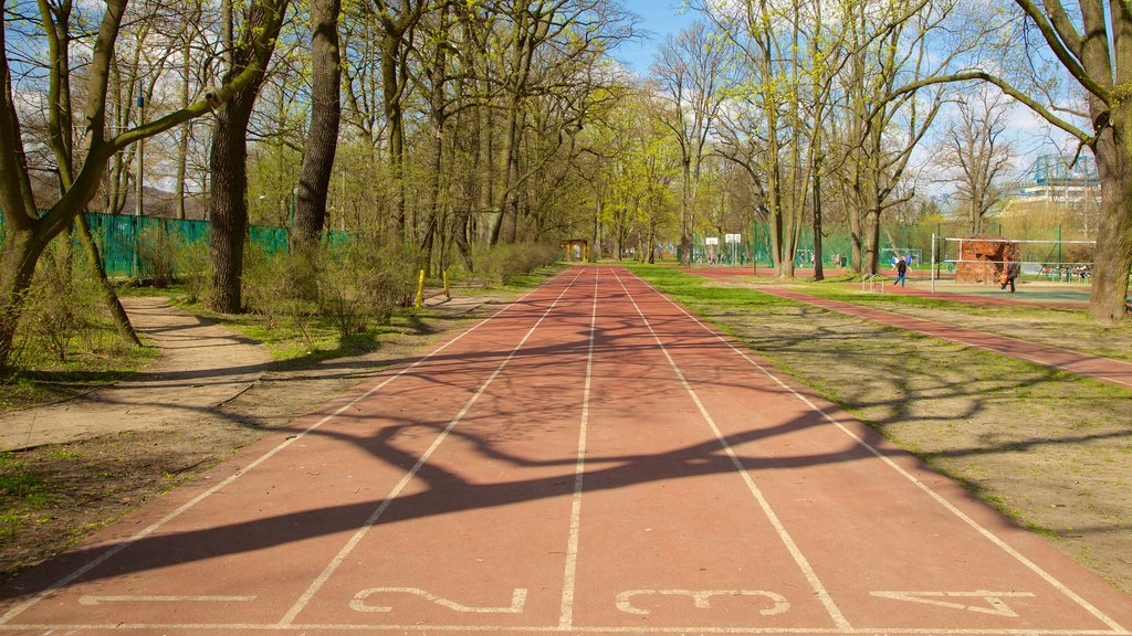 Parque Jordan ofreciendo jardín